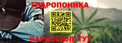 винт Камень-на-Оби