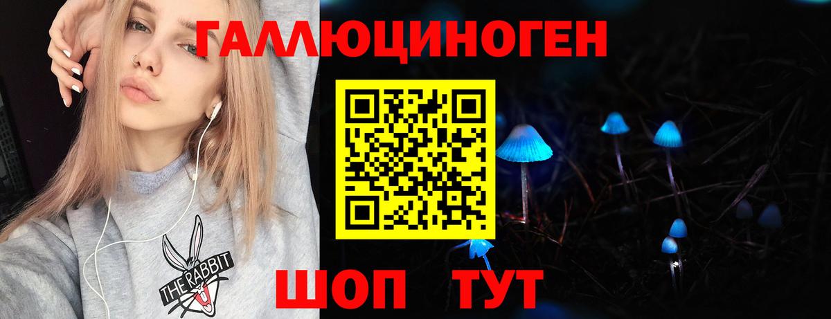 Тольятти  Галлюциногенные грибы Psilocybine cubensis  Вход с VPN 